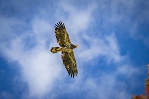 GEN-12-23-23-CIRCLE-B-WILDLIFE-RESERVE-SOCIAL-02.jpg