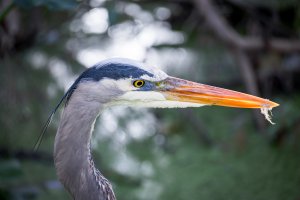 GEN-12-23-23-CIRCLE-B-WILDLIFE-RESERVE-SOCIAL-14.jpg