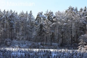 20231203_0016.JPG