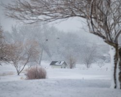 RFIV5067-Enhanced-NR-Edit.jpg