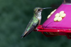 E57A2884-Enhanced-NR-Edit.jpg