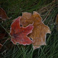 IMG_3456 small.jpeg