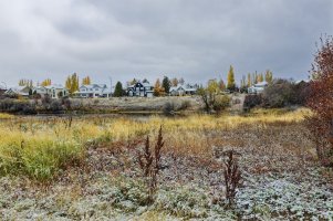 _V2A3043_DxO.jpg