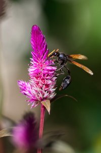 DSC_6639_DxO.jpg