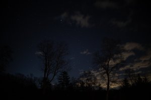 Profile Off-6783.jpg