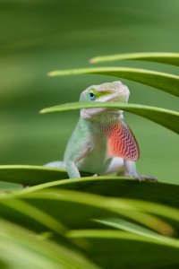 DSC_8000_DxO_DxO.jpg