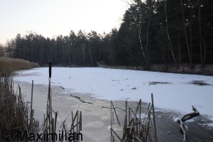 20250217_0003.JPG