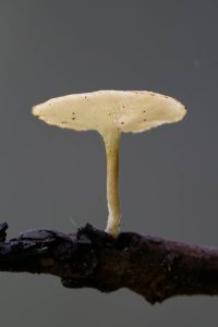 DSC_1411_DxO.jpg