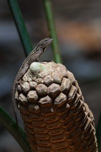 DSC_1421_DxO_DxO.jpg