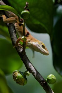 DSC_3664_DxO_DxO.jpg