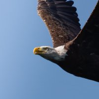 _V0A4724-Edit.jpg
