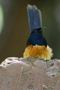 DSC_5478_DxO.jpg