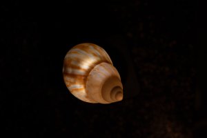 IMG_3034.jpg