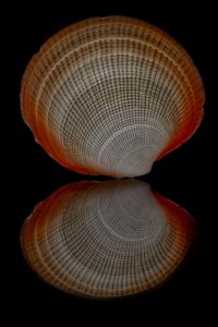 IMG_3186-Edit.jpg