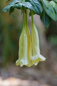 DSC_5695_DxO.jpg