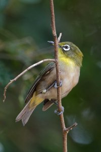 DSC_5646_DxO.jpg