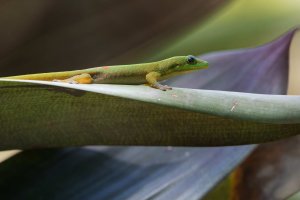 DSC_5750_DxO.jpg