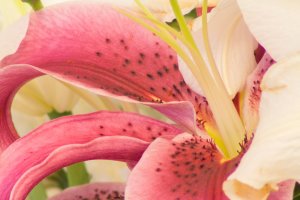 eosm-600+1.4+2x f16.jpg