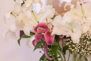 5d2-600 f5-6.jpg