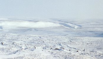 b12-059.jpg