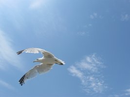 IMG_5722.jpg