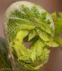 IMG_7979.jpg