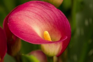 _MG_1763_edited-1.jpg