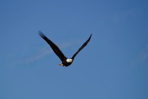 IMG_7321.jpg