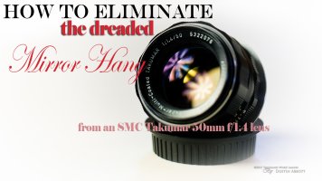 Takumar Lens Shots-3.jpg