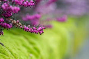_MG_6383_DxO.jpg