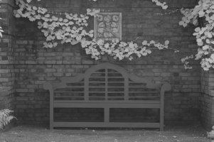 _SDI0428IR.jpg