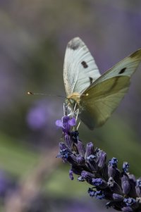 1DX20552.jpg