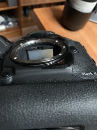IMG_4846.jpg