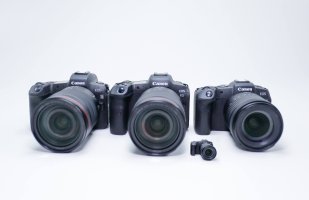 Comparison Shot.jpg