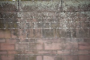 eosr_rf16mm_f2.8-5.jpg