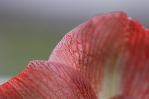 BA1A2372.jpg