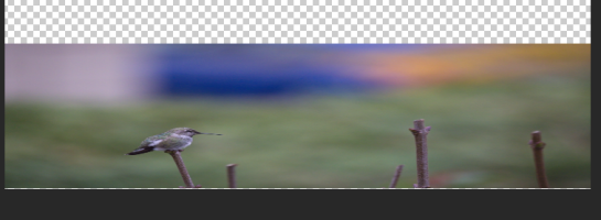 1653244374111.png