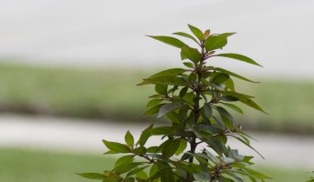 outoffocus-3.jpg