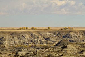 _MG_6019_DxO_DxO-topaz-denoise-sharpen.jpg