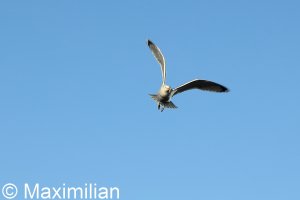 20220502_0135.JPG