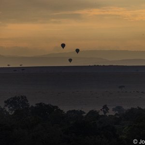 145_C2A4242.jpg