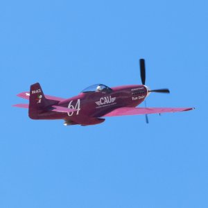 CAU P-51