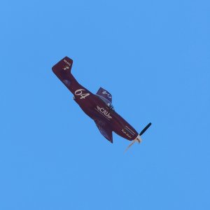 CAU P-51