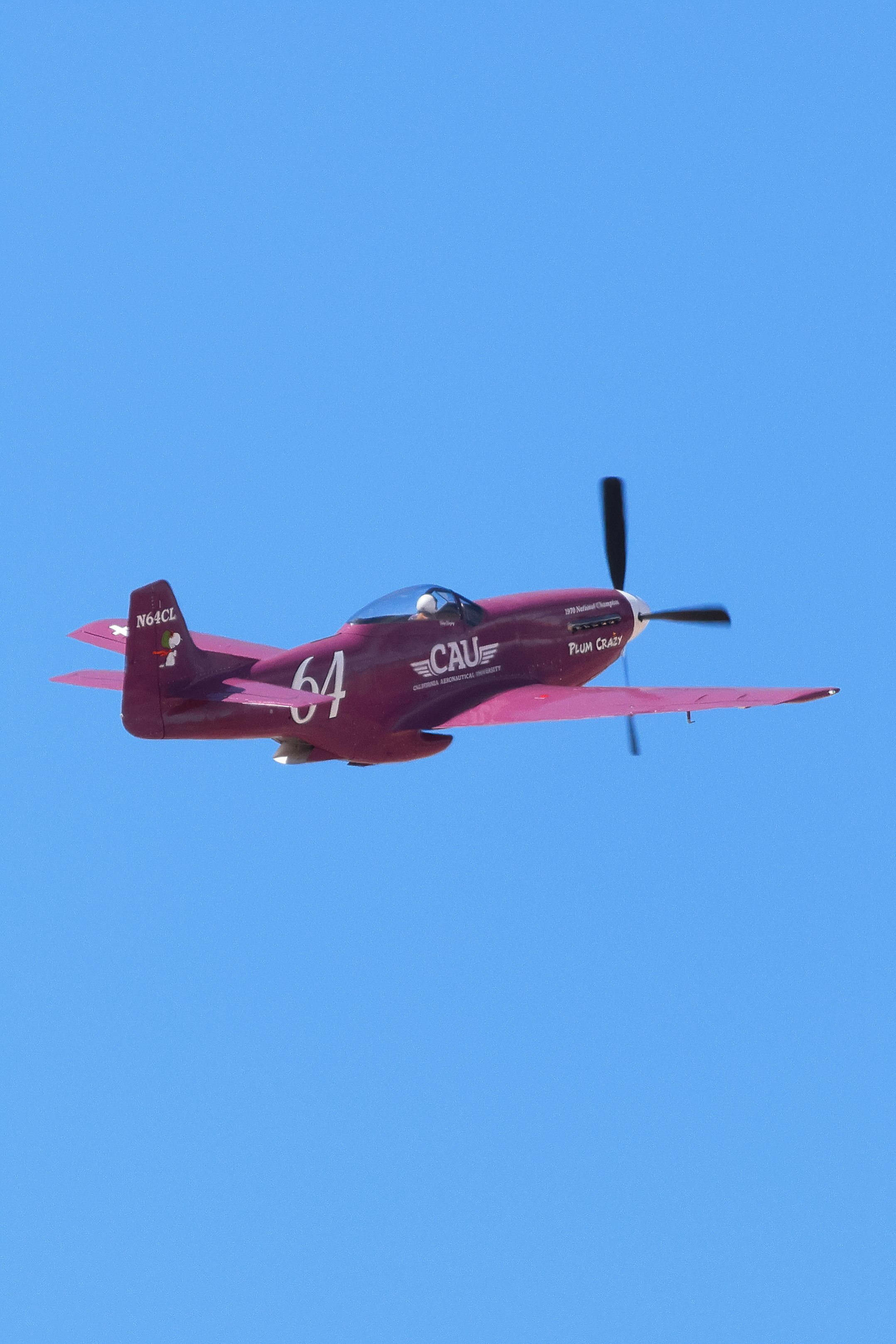 CAU P-51